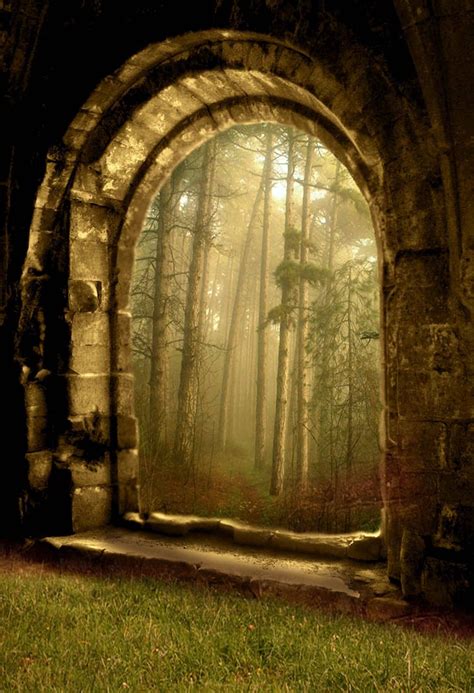 The Enchanted Magical Gate: Portal to Another World